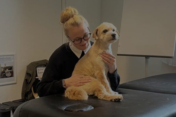 b4631aad-51a7-4f0c-b8d4-02271c308ec3